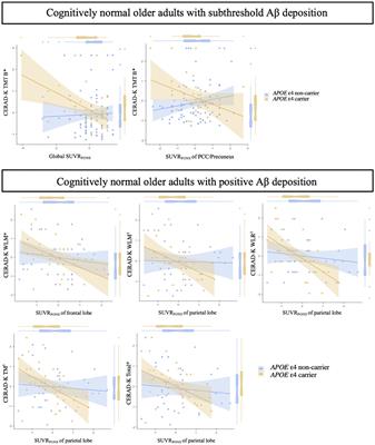 Impact of APOE ε4 Carrier Status on Associations Between Subthreshold, Positive Amyloid-β Deposition, Brain Function, and Cognitive Performance in Cognitively Normal Older Adults: A Prospective Study